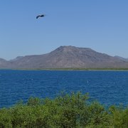 Baja2011 1008 : Baja2011